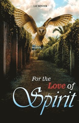 bokomslag For the Love of Spirit