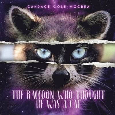 The Raccoon Who Thought He Was A Cat 1