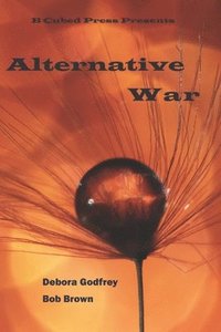 bokomslag Alternative War