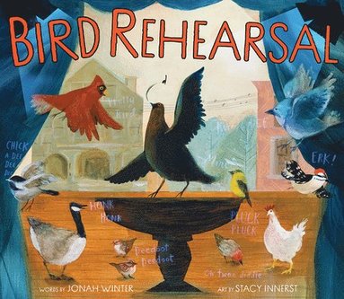 Jonah Winter - Bird Rehearsal, Inbunden