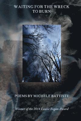 Michele Battiste - Waiting for the Wreck to Burn, Häftad