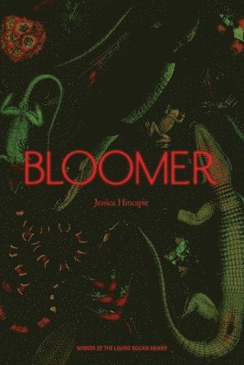 bokomslag Bloomer