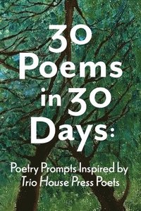 bokomslag 30 Poems in 30 Days
