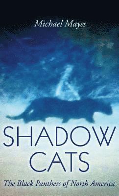 bokomslag Shadow Cats