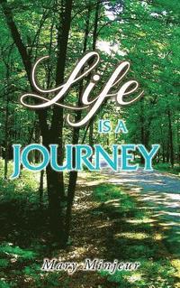 bokomslag Life is a Journey