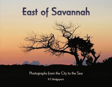 bokomslag East of Savannah