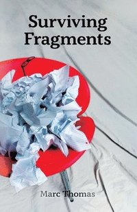 bokomslag Surviving Fragments