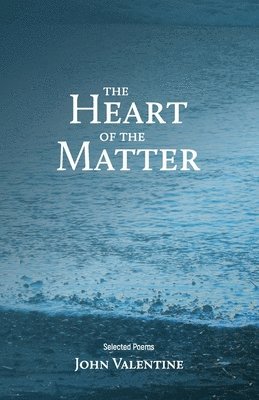 bokomslag Heart of the Matter