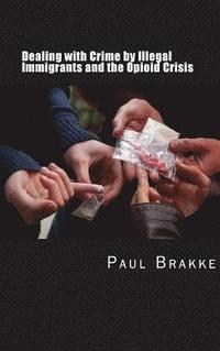 bokomslag Dealing with Crime by Illegal Immigrants and the Opioid Crisis