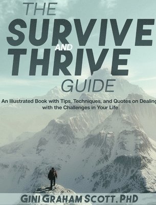 bokomslag Survive and Thrive Guide