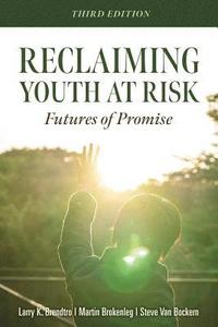 bokomslag Reclaiming Youth at Risk: Futures of Promise (Reach Alienated Youth and Break the Conflict Cycle Using the Circle of Courage)