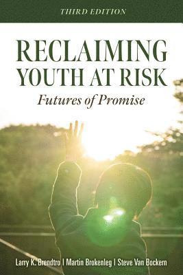 bokomslag Reclaiming Youth at Risk