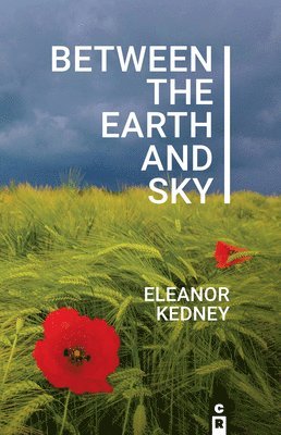 Between the Earth and Sky 1