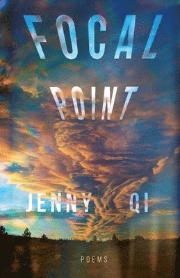 Jenny Qi - Focal Point, Häftad