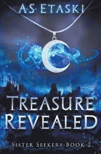 bokomslag Treasure Revealed