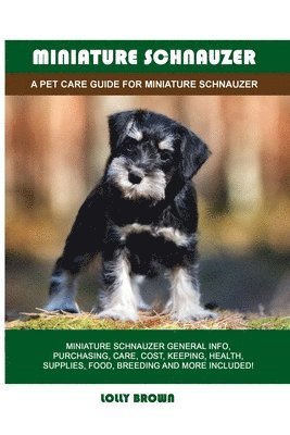 Miniature Schnauzer 1