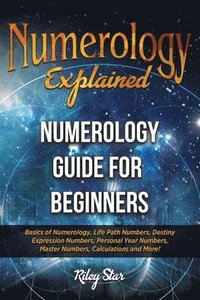 bokomslag Numerology Explained