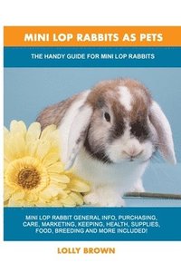 bokomslag Mini Lop Rabbits as Pets