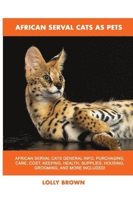 African Serval Cats as Pets 1