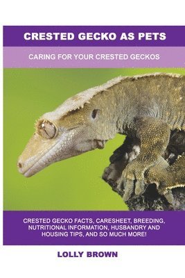 Crested Gecko as Pets 1