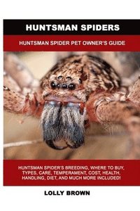 bokomslag Huntsman Spiders