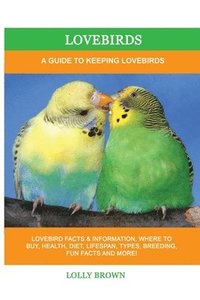 bokomslag Lovebirds