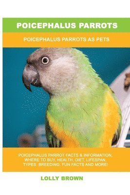 Poicephalus Parrots 1