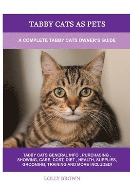 Tabby Cats as Pets 1