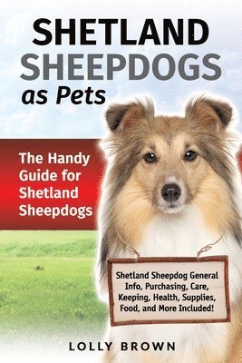 Shetland Sheepdogs as Pets 1