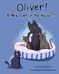 bokomslag Oliver! A New Cat in the House?!!!