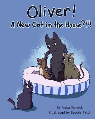 Anita Tendick - Oliver! A New Cat in the House?!!!, Häftad