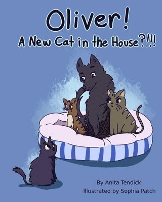 Oliver! A New Cat in the House?!!! 1