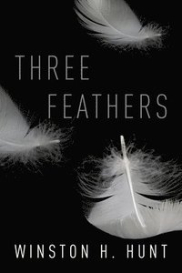 bokomslag Three Feathers