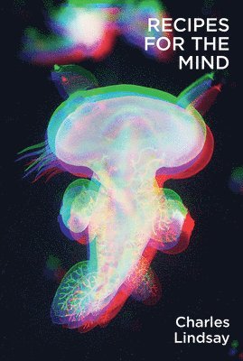 Charles Lindsay - Recipes for the Mind, Häftad