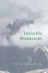 bokomslag Invisible Mountains