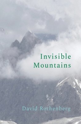 David Rothenberg - Invisible Mountains, Häftad