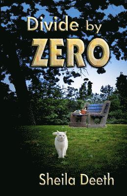 Divide by Zero
