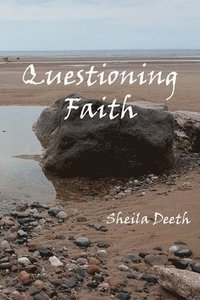 bokomslag Questioning Faith