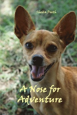 bokomslag Nose for Adventure