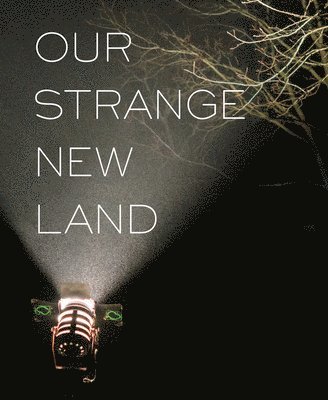 Our Strange New Land 1