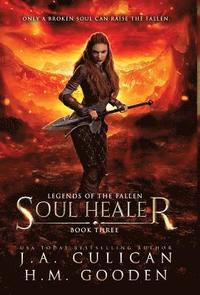 bokomslag Soul Healer
