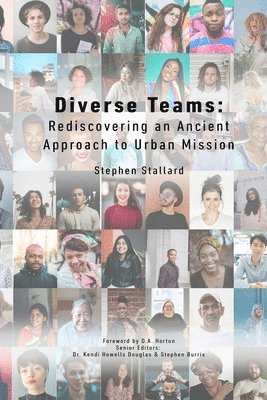 bokomslag Diverse Teams