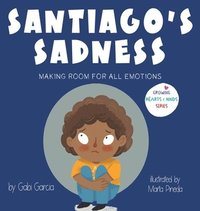 bokomslag Santiago's Sadness