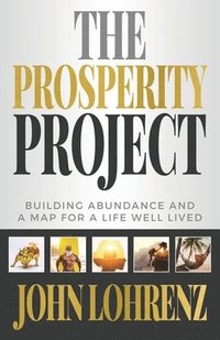 bokomslag Prosperity Project
