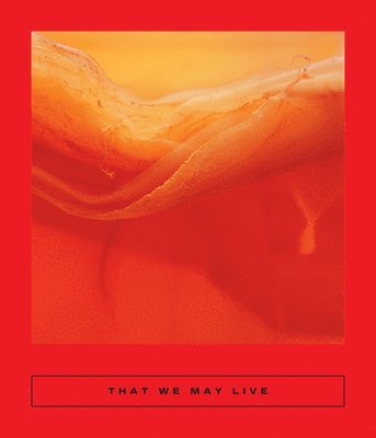Ge Yan, Dorothy Tse, Chan Chi Wa, Si'an Chen, Enoch Tam, Hui Zhu, Cj Evans, Sarah Coolidge - That We May Live: Speculative Chinese Fiction, Häftad