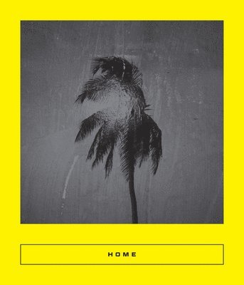 bokomslag Home: New Arabic Poems