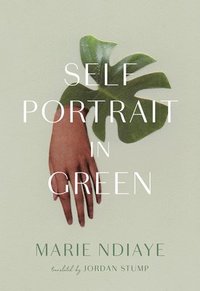 bokomslag Self-Portrait in Green