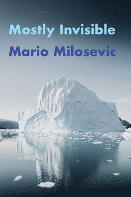 Mario Milosevic - Mostly Invisible, Häftad
