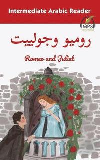 bokomslag Intermediate Arabic Reader