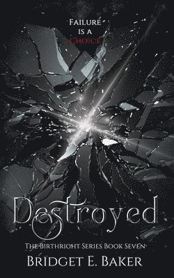 Bridget E Baker, Bridget E. Baker, E. Baker, Bridget - Destroyed, Häftad